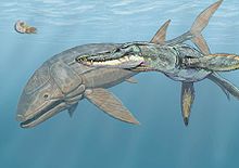 leedsichthys