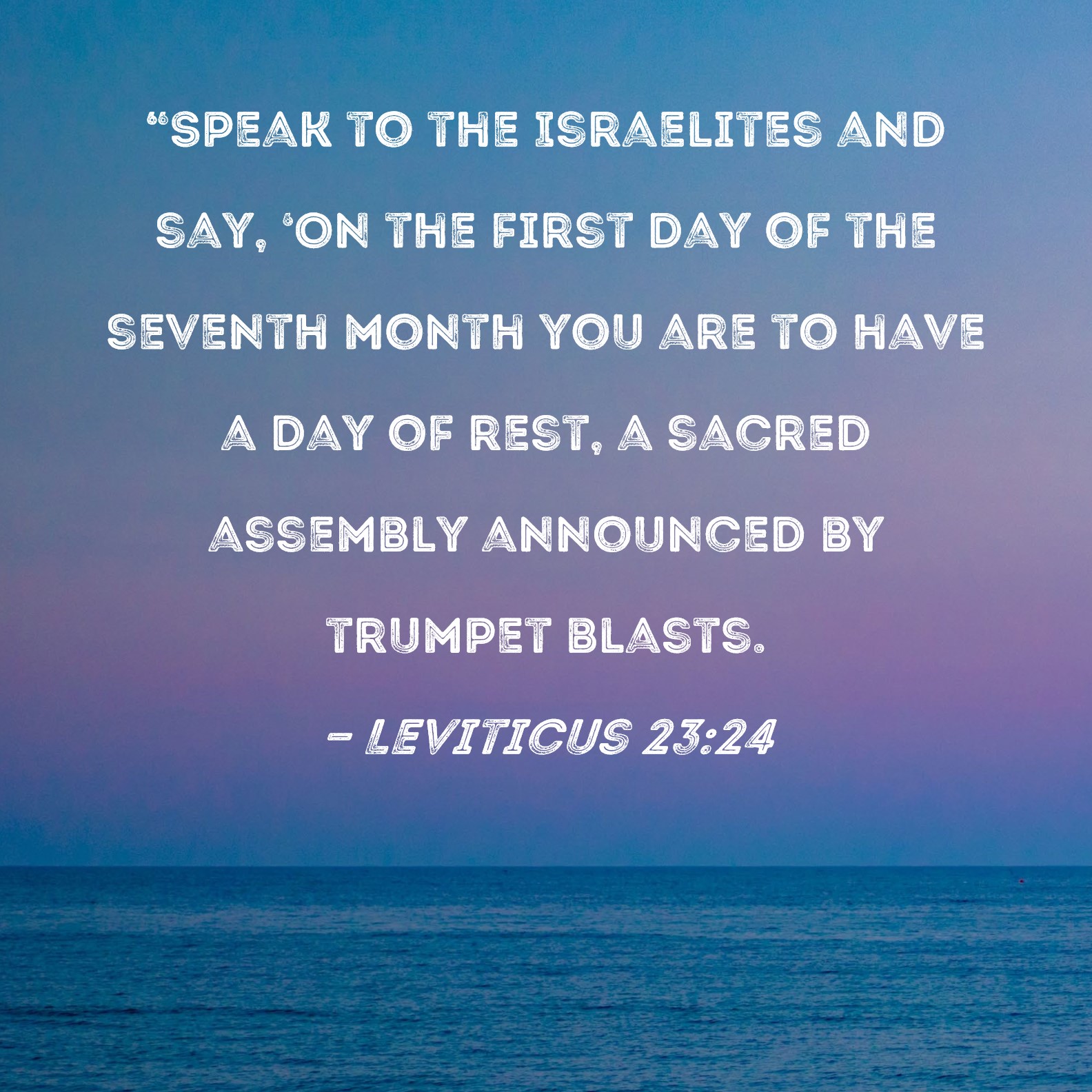 leviticus 23 niv