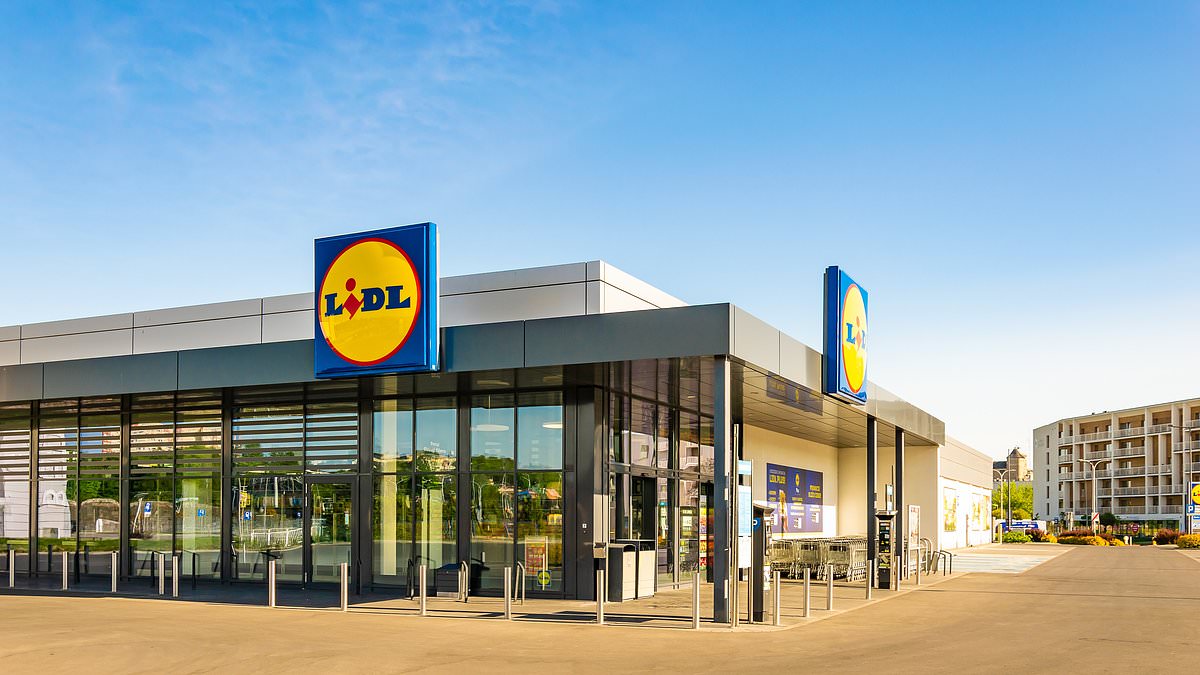 lidl opening times christmas 2023