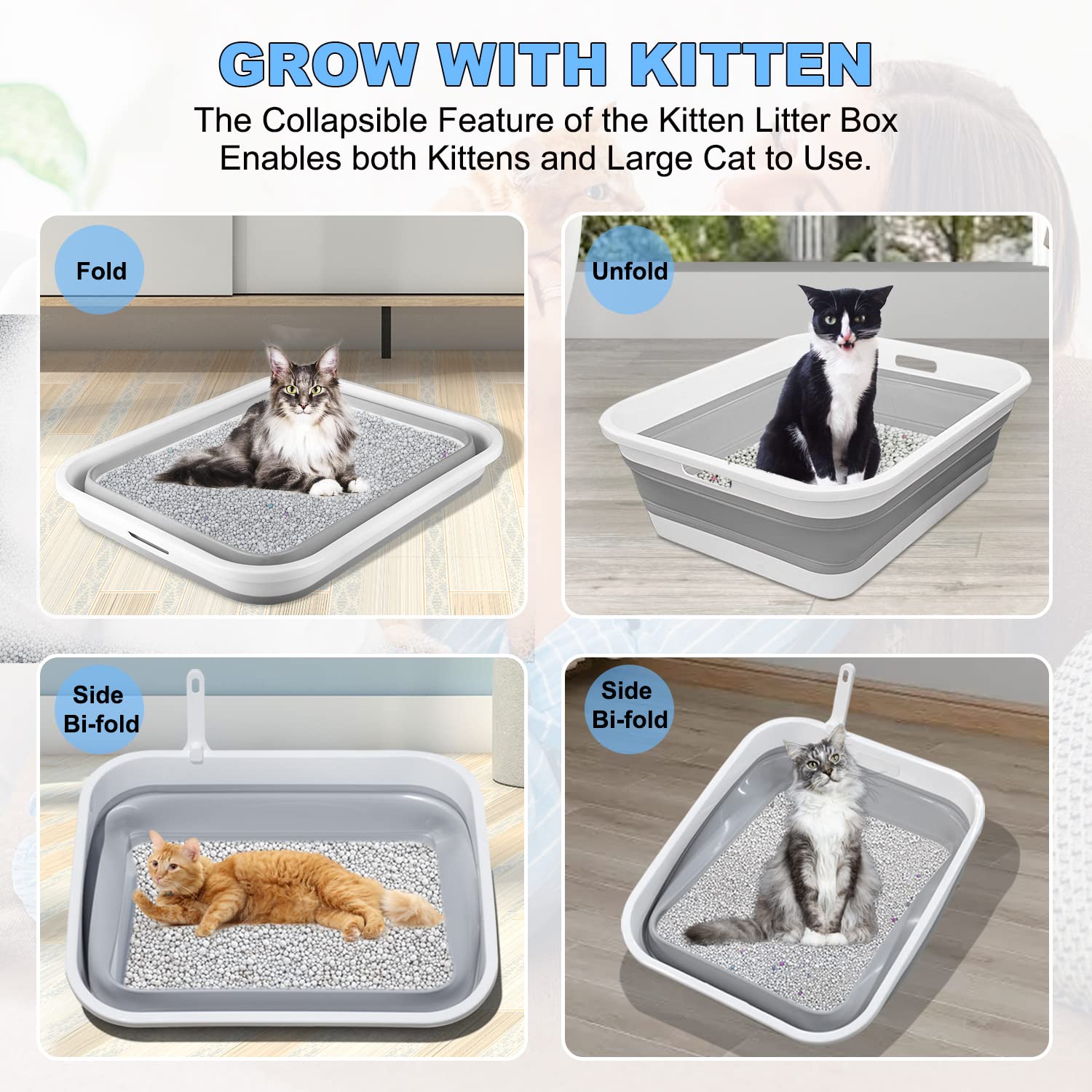 litter box for disabled cats