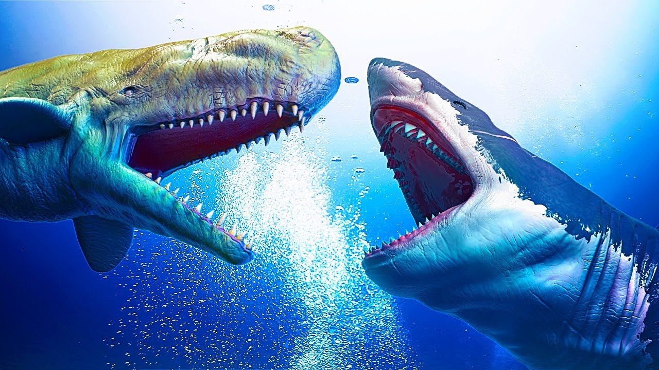 livyatan melvillei vs megalodon