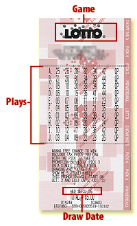 lotto results qld check my ticket