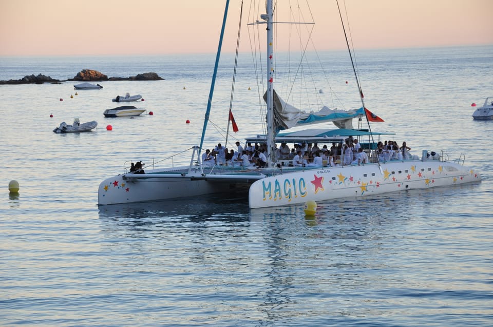 magic catamaran roses