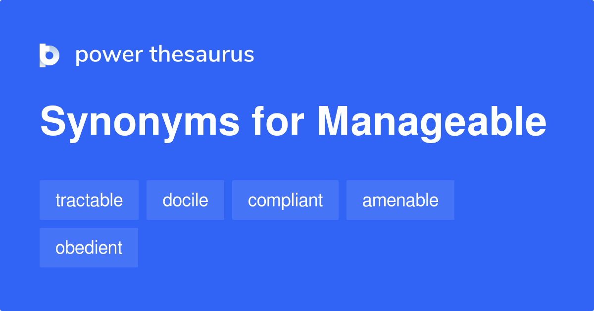 manageable synonym