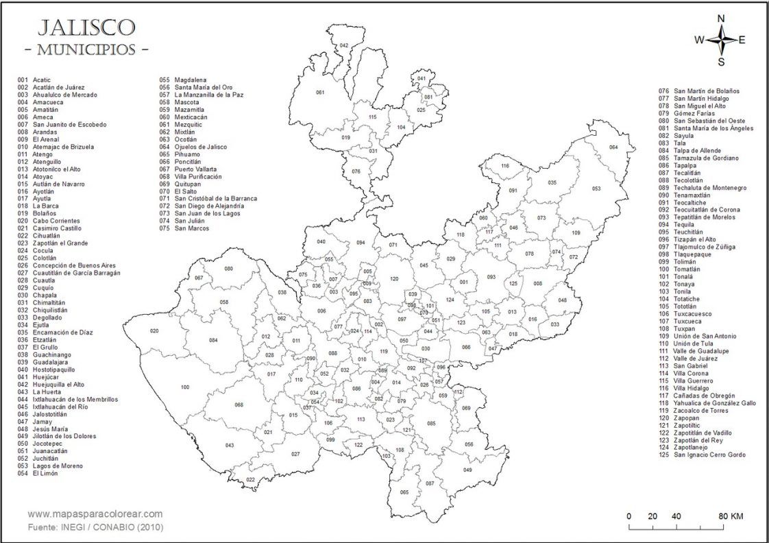 mapa de jalisco blanco y negro