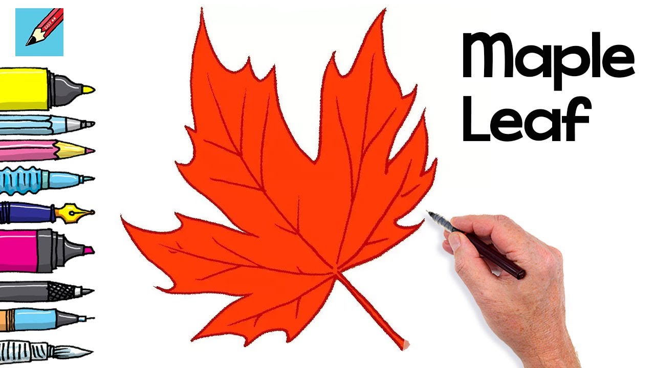 maple leaf drawing