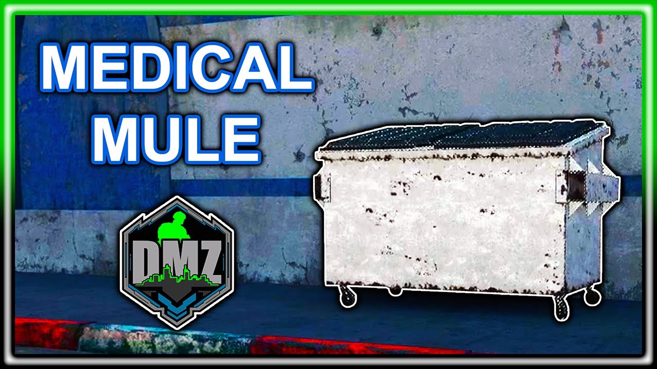 medical.mule dmz