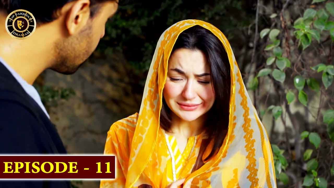 mere humsafar episode 11