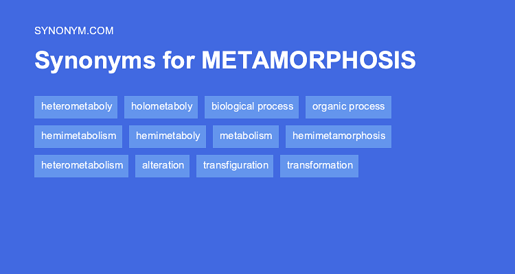 metamorphosis antonym