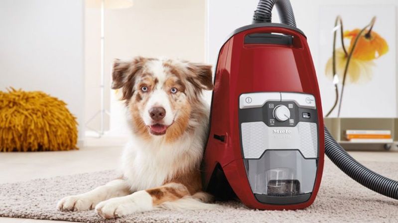 miele blizzard cx1 cat & dog bagless vacuum review