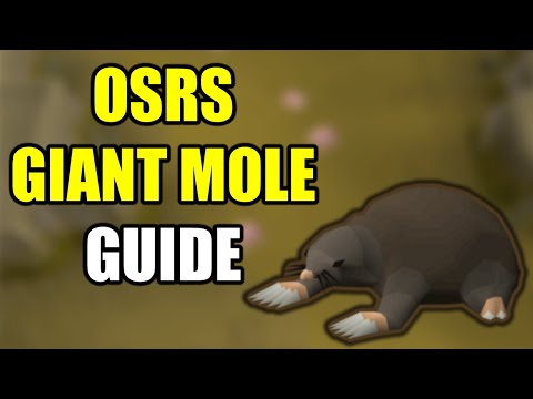 mole osrs