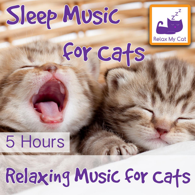 music that relaxes cats