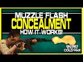 muzzle flash concealment mw2