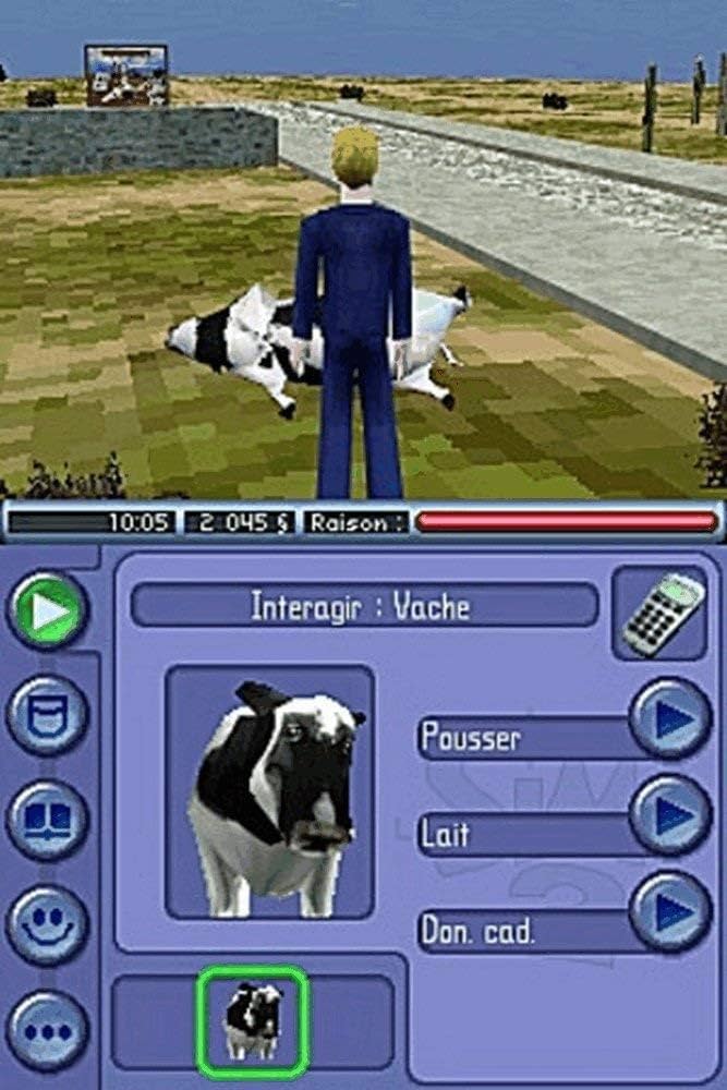 nds sims