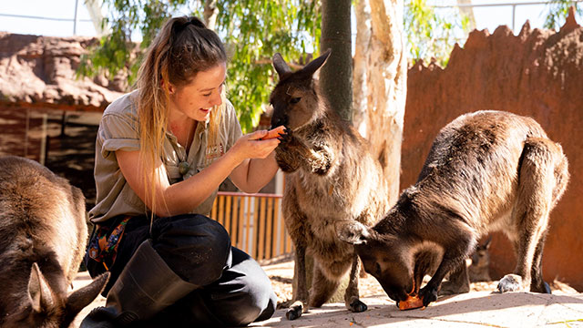 nrma sydney zoo