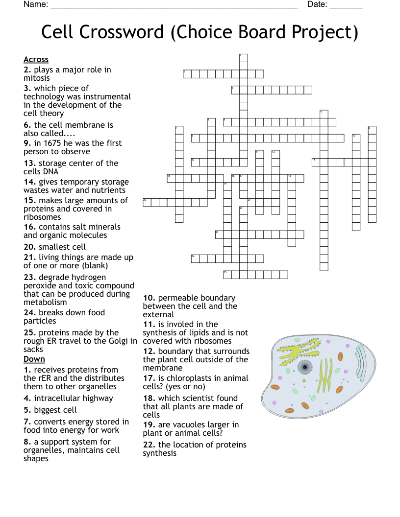 nucleus crossword clue