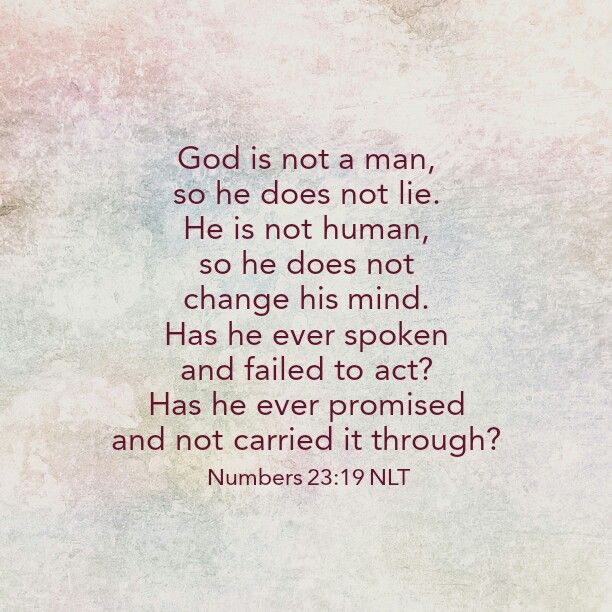 numbers 23 19 nlt