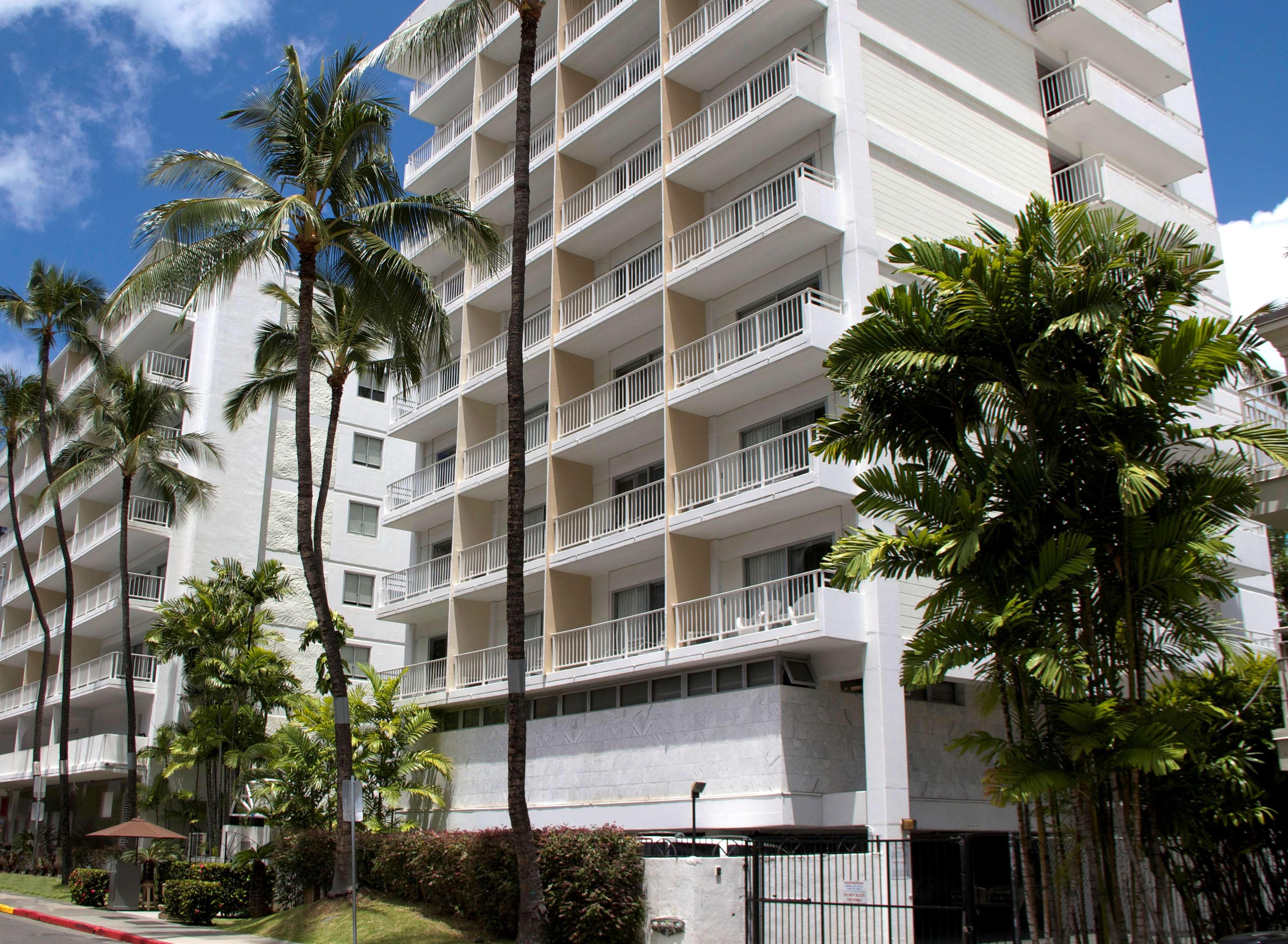 oasis hotel waikiki