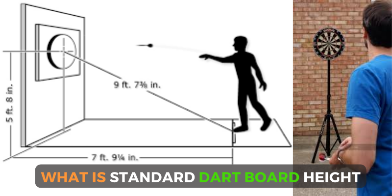 official height dartboard