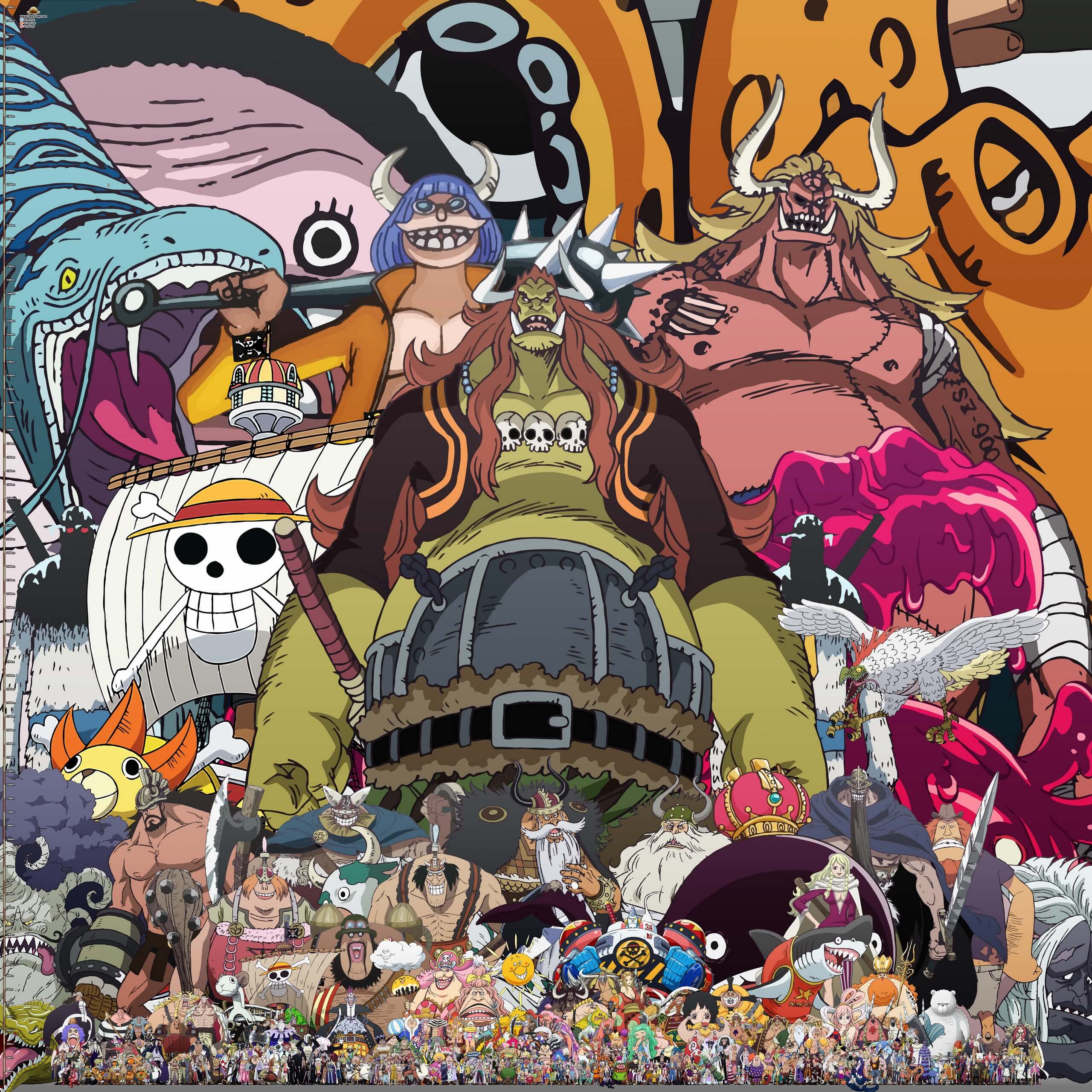 one piece character heights