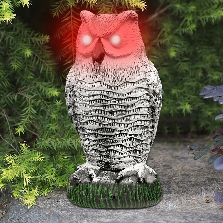 owl to scare away birds