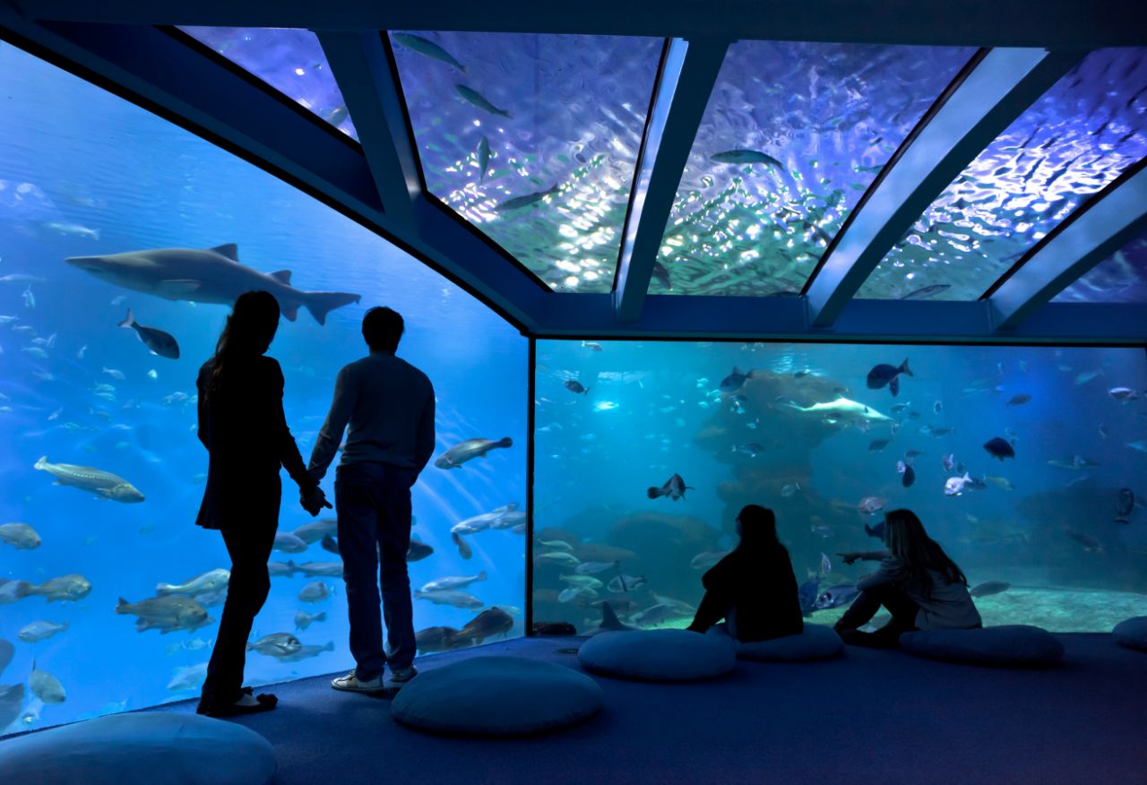 palma aquarium reviews