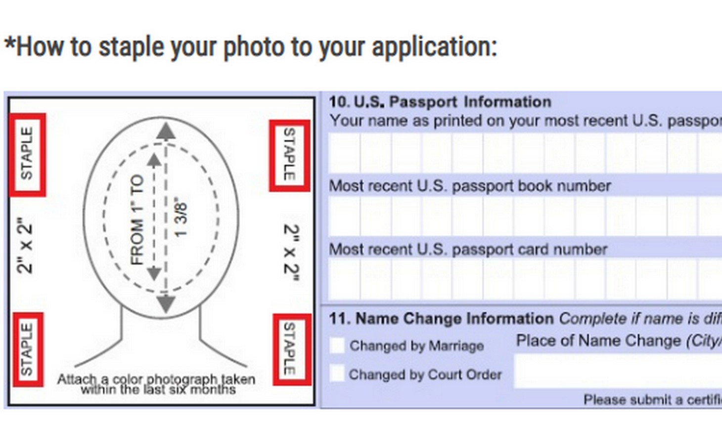 passport photo staples