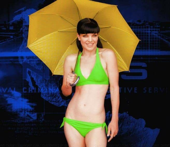 pauley perrette bikini