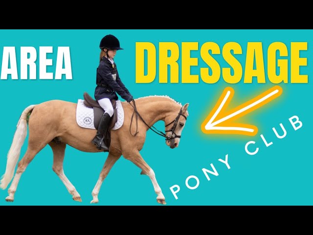 pc 70 dressage test