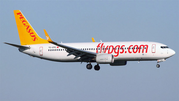 pegasus airlines online check in