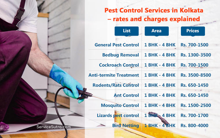 pest control services price