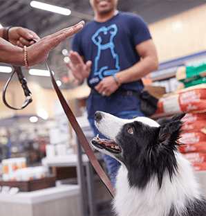 petco ardmore oklahoma