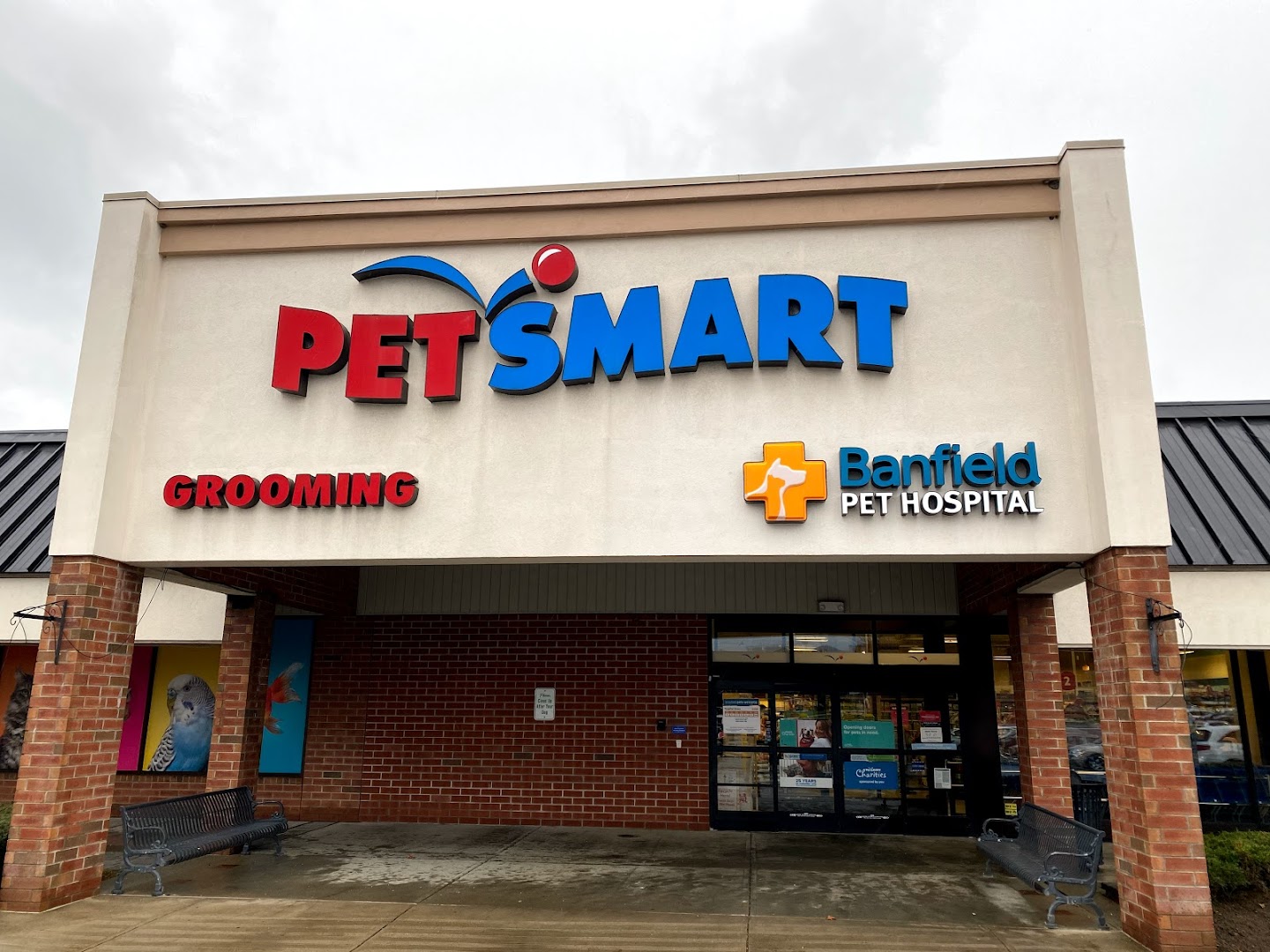 petsmart clifton park ny