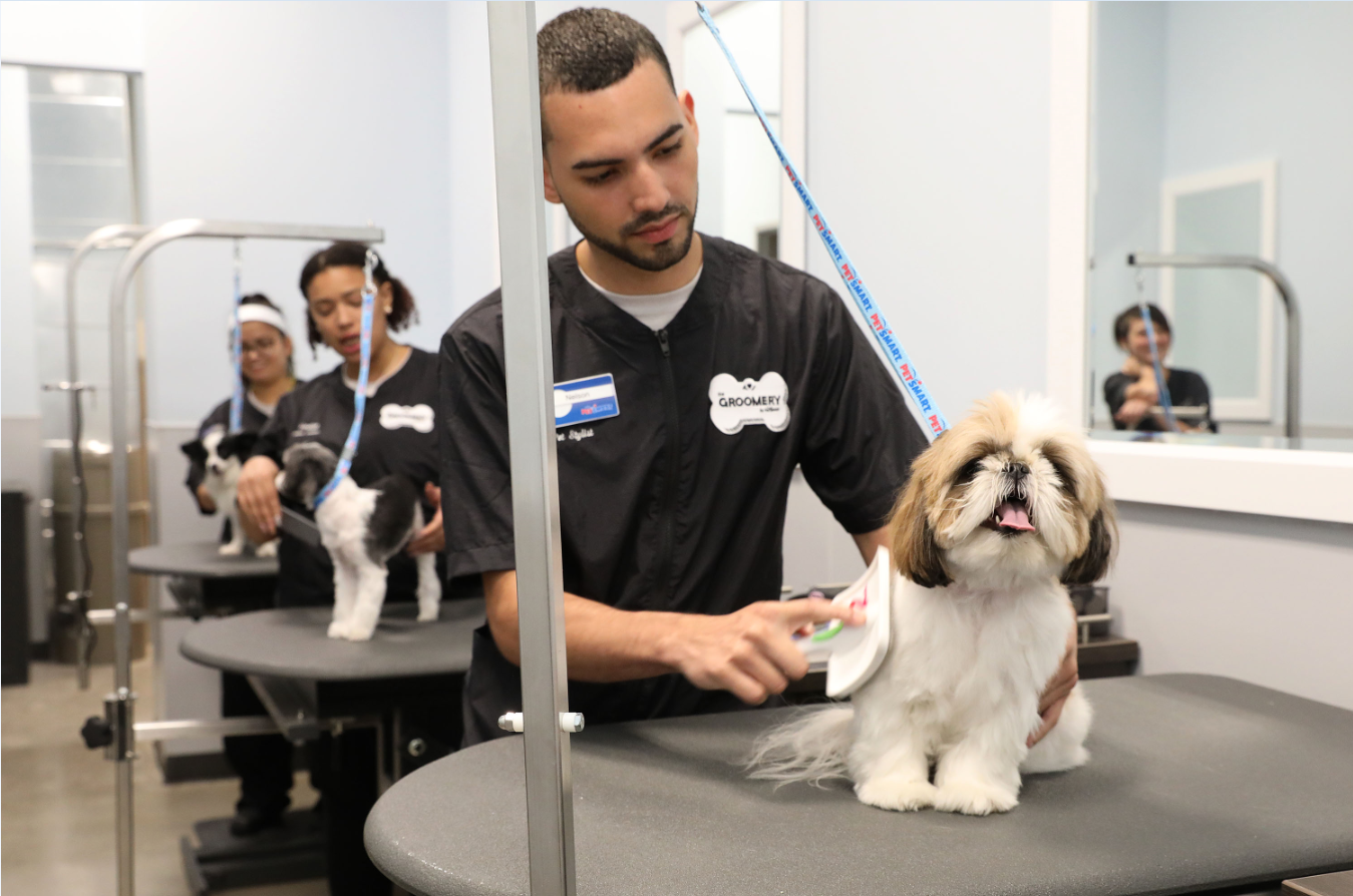 petsmart grooming