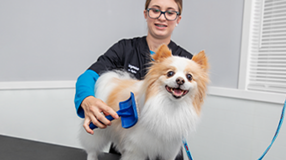 petsmart nail clipping