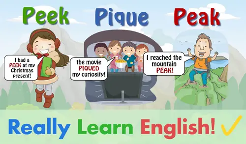 pique meaning in english