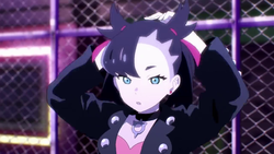 pokemon marnie anime