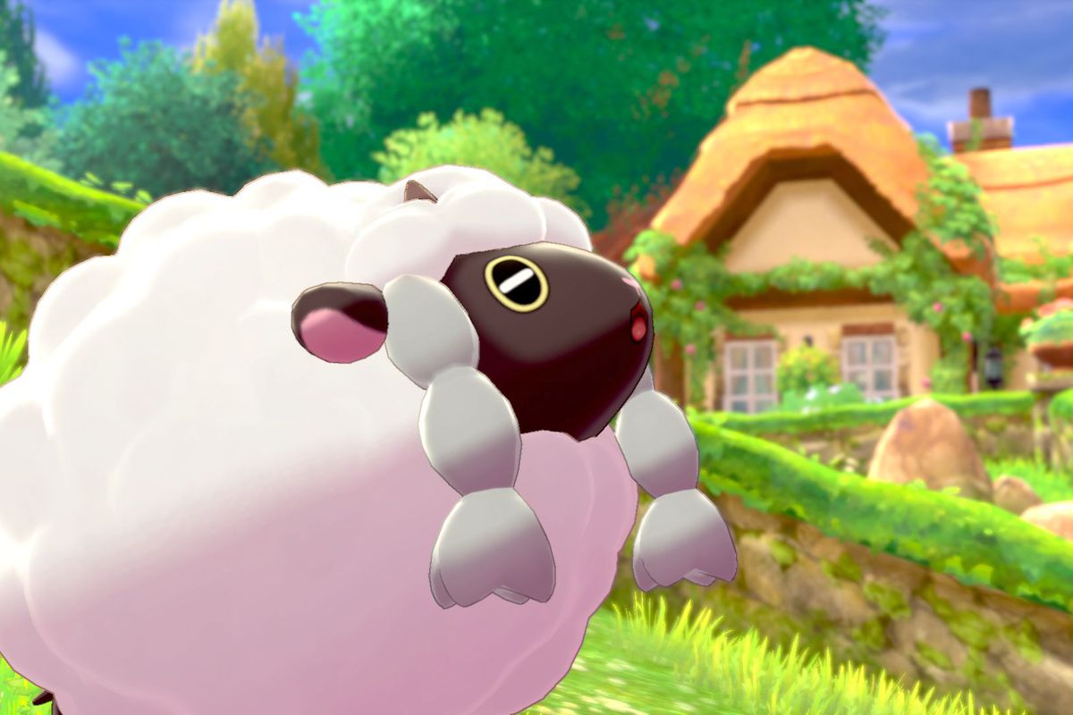 pokemon shield wooloo