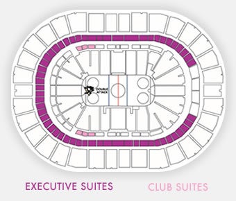 ppg paints arena seating chart