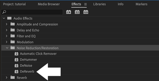 premiere pro remove echo