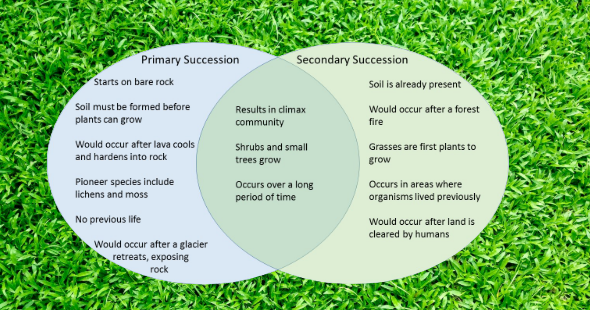 primary and secondary succession venn diagram