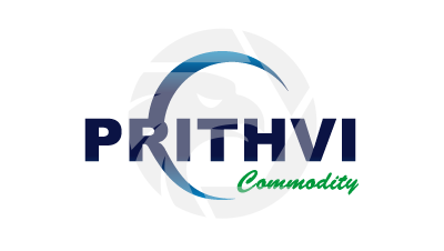 prithvi forex