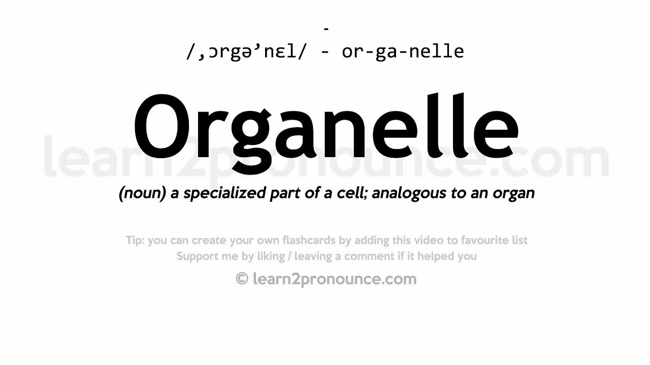 pronunciation of organelles