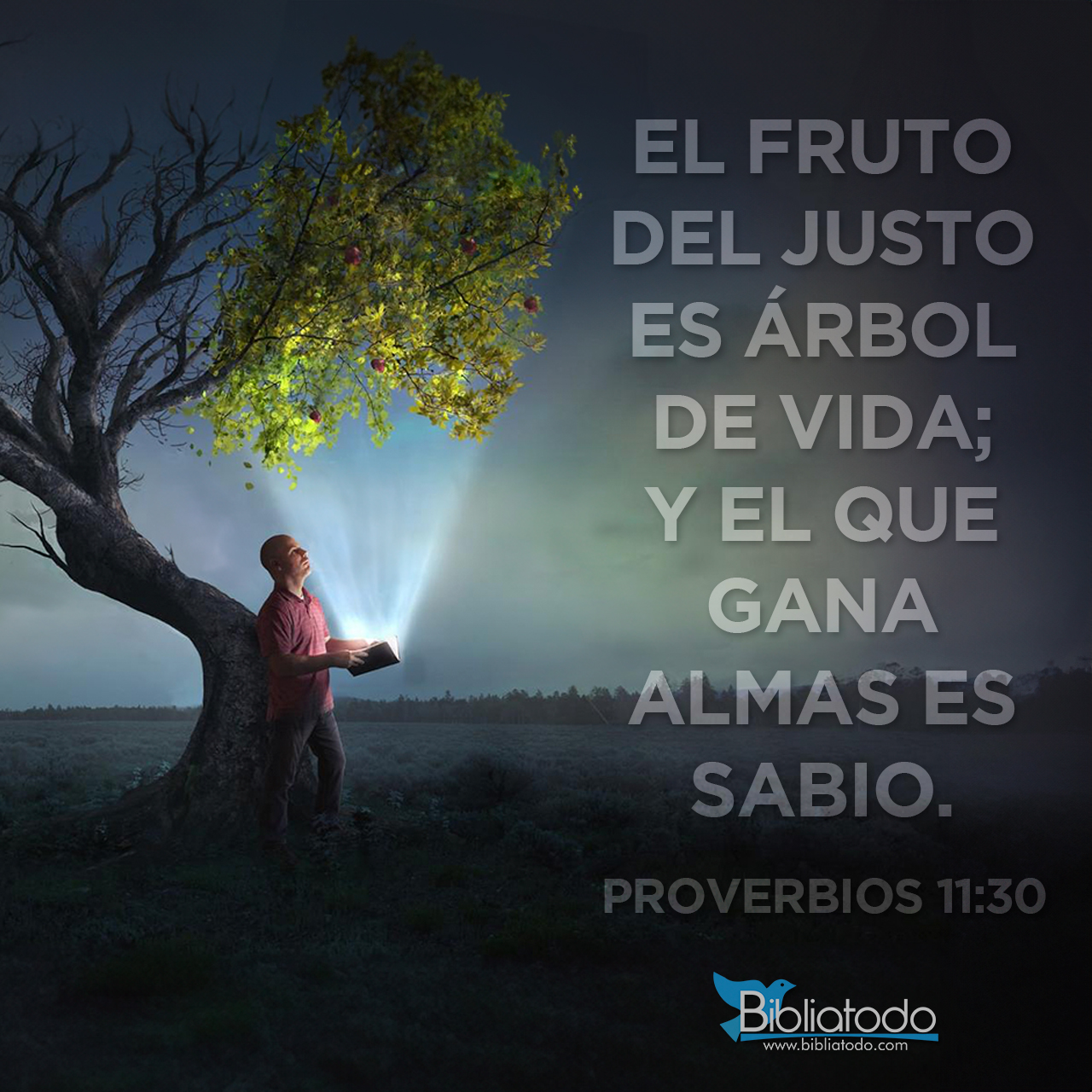 proverbios 11