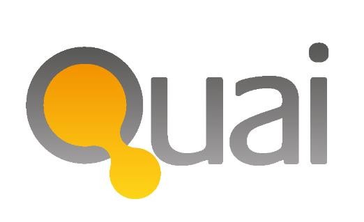 quai investment services limited