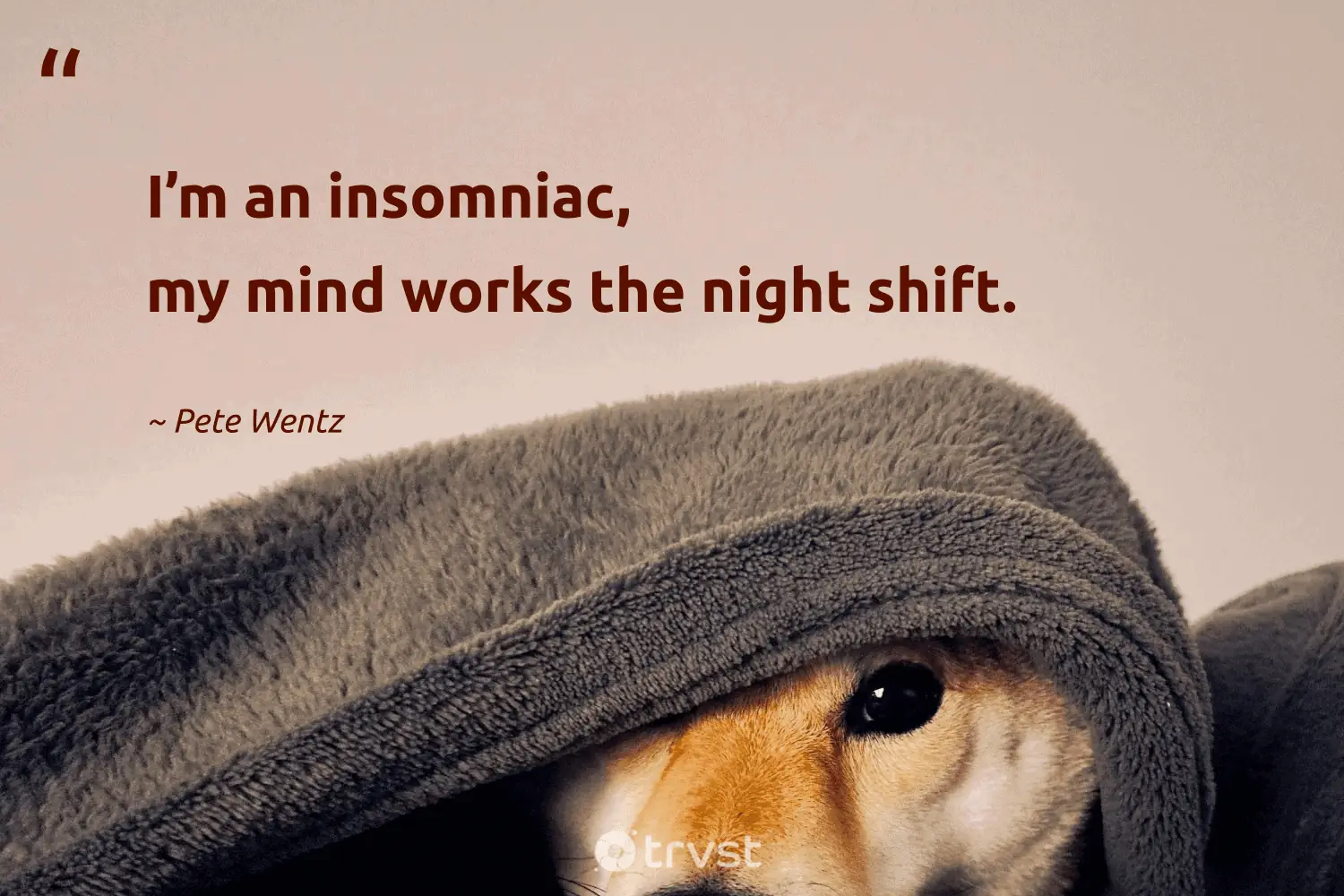 quotes on insomnia funny