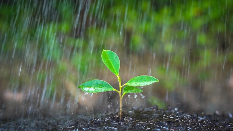 rainfall images