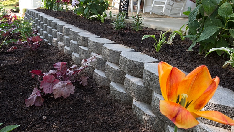 raised garden with retaining wall blocks