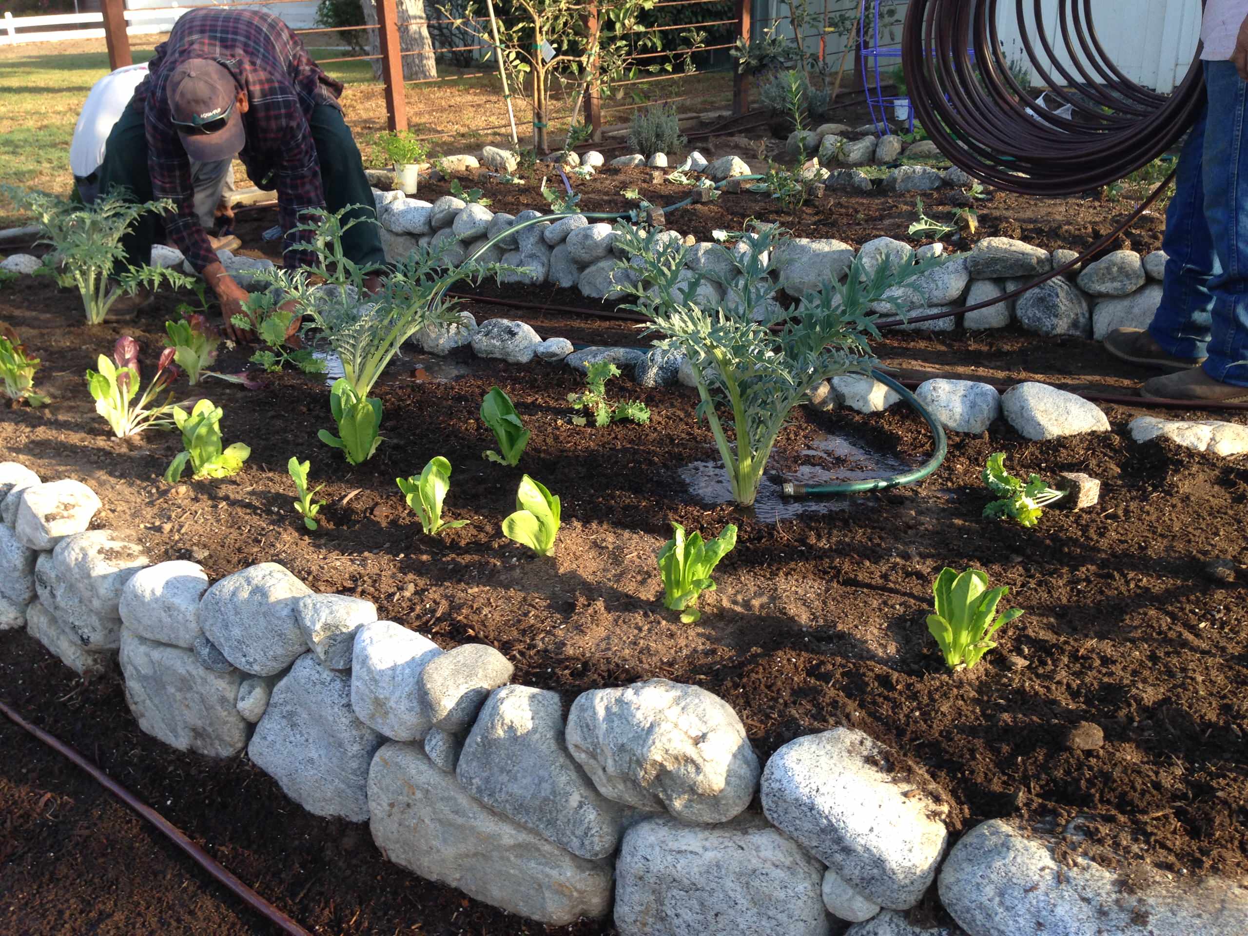 raised rock garden bed ideas