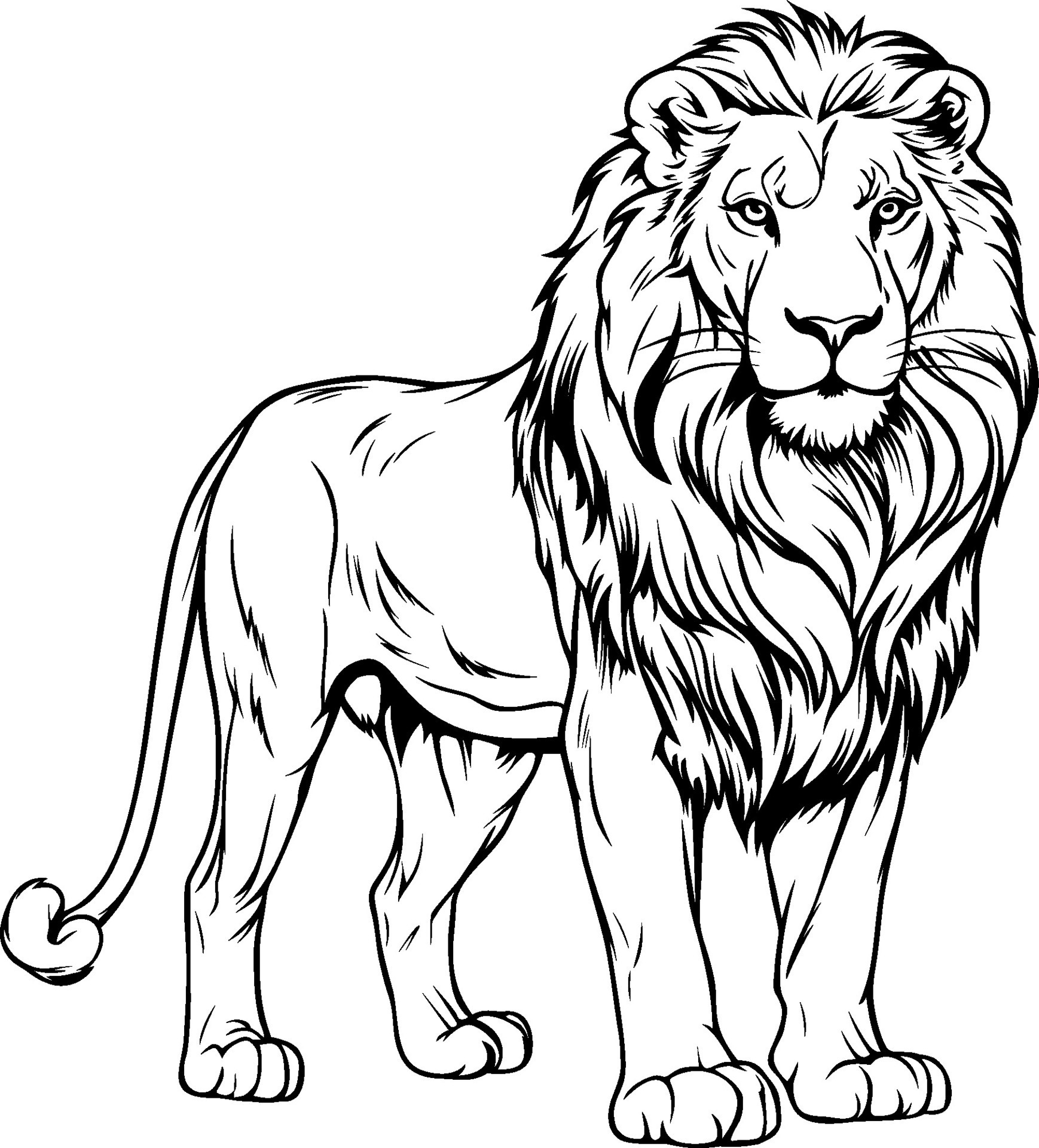 realistic lion clipart black and white